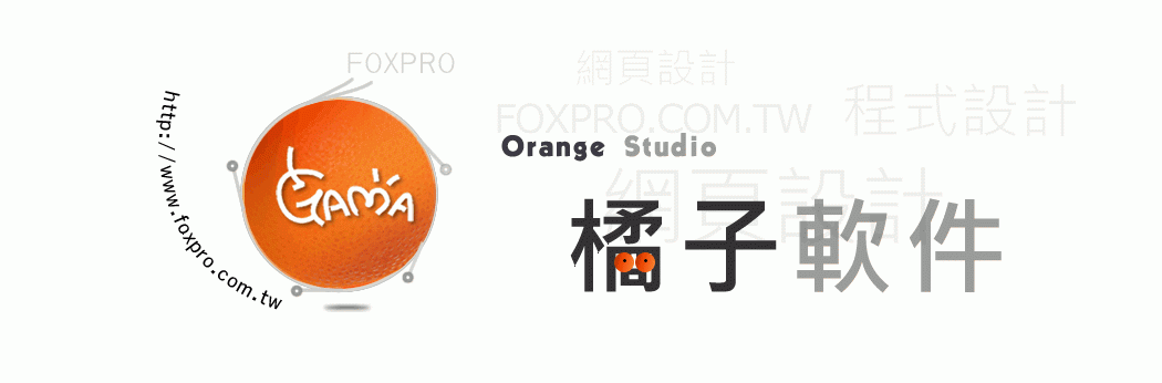 橘子軟件網頁設計最專業